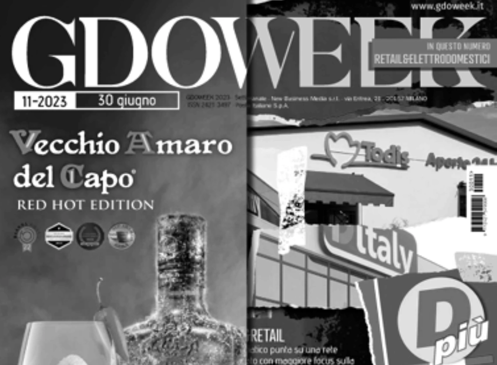 articolo news di Simone Trentin "Il caso di Alce Nero: La trasformazione digitale passa dalla personalizzazione logistica" su GDOweek