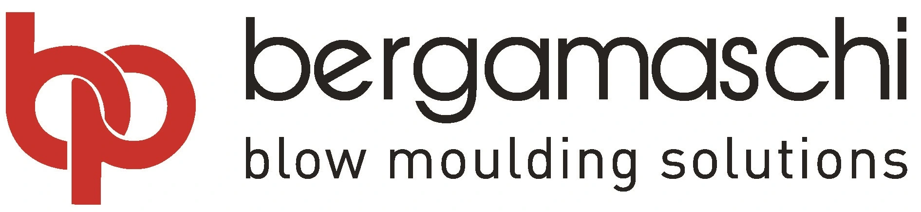 Bergamaschi Blow Moulding Solutions S.r.l.